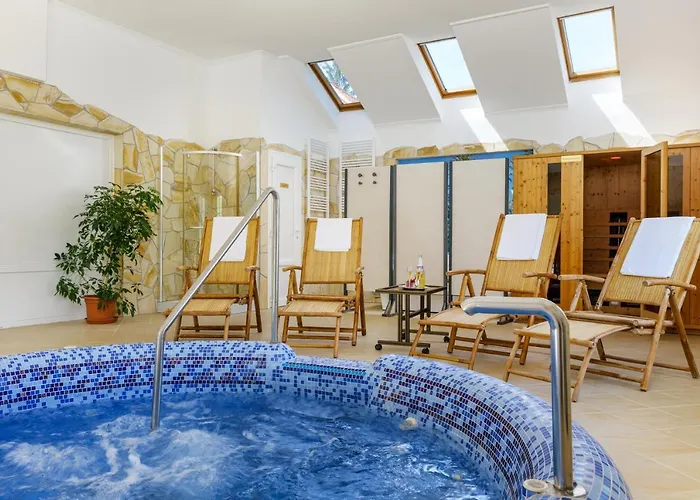 Pensjonat Rege - Wellness House 4*